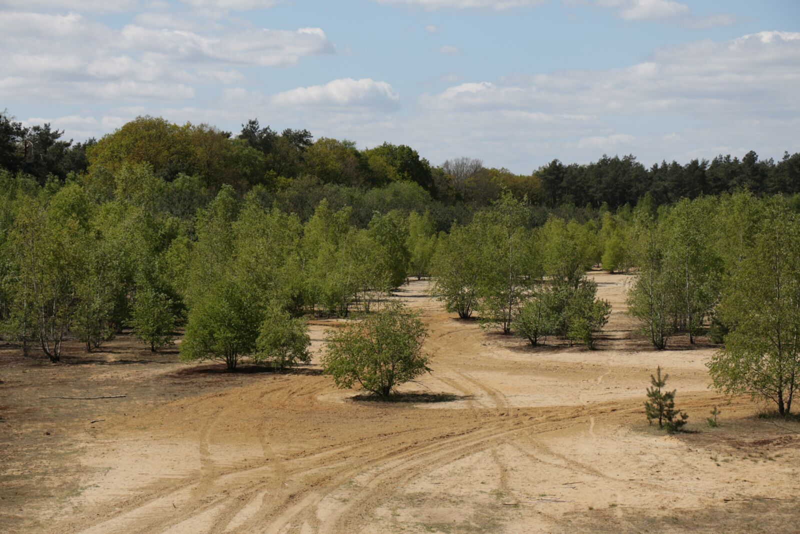 Canon EOS 70D sample photo. Nature, twente, landscape photography