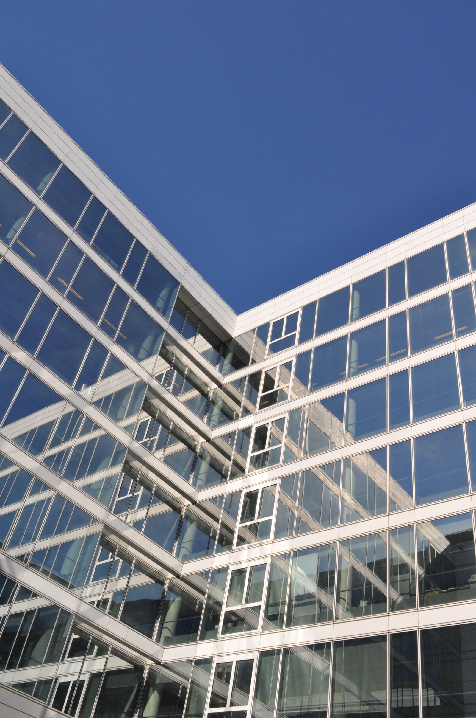 Nikon D5000 sample photo. Architecture, lines, building photography