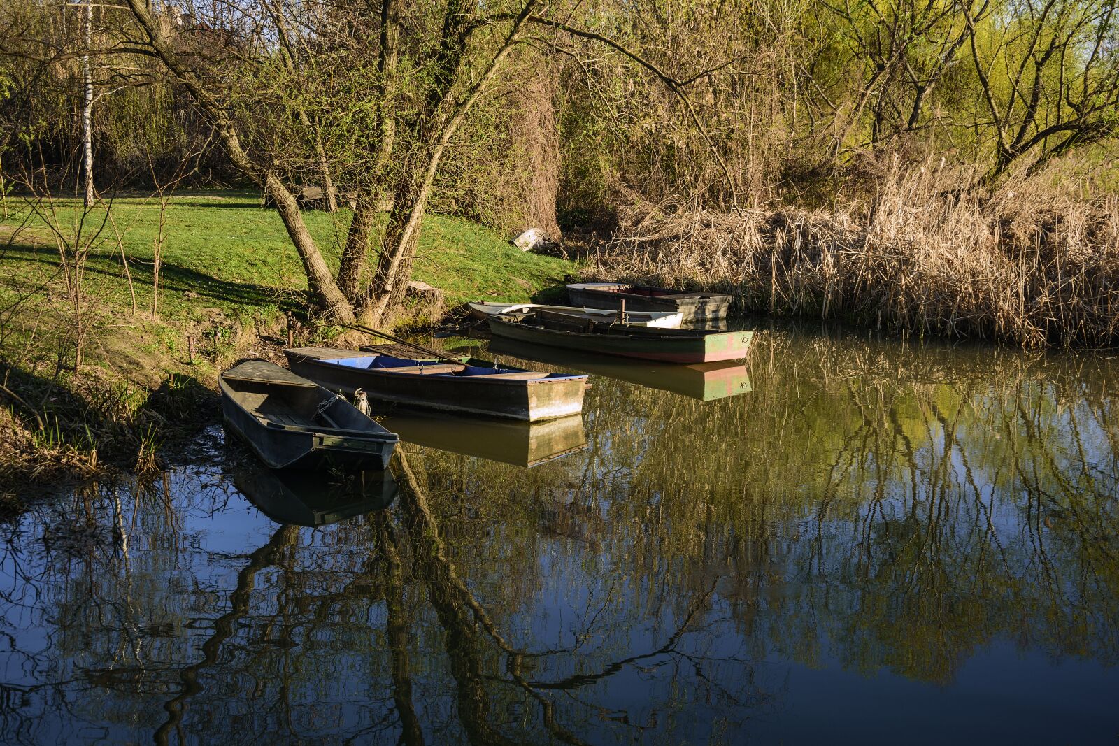 Nikon D5500 sample photo. Water, boat, nature photography