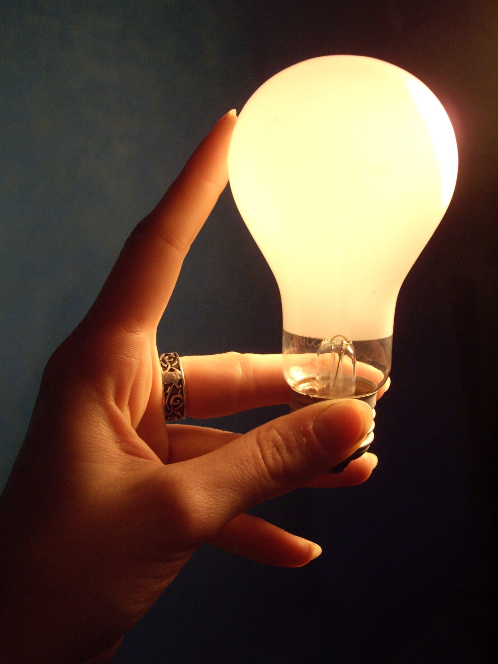 Pentax OPTIO A10 sample photo. Lamp, lightbulb, electricity photography