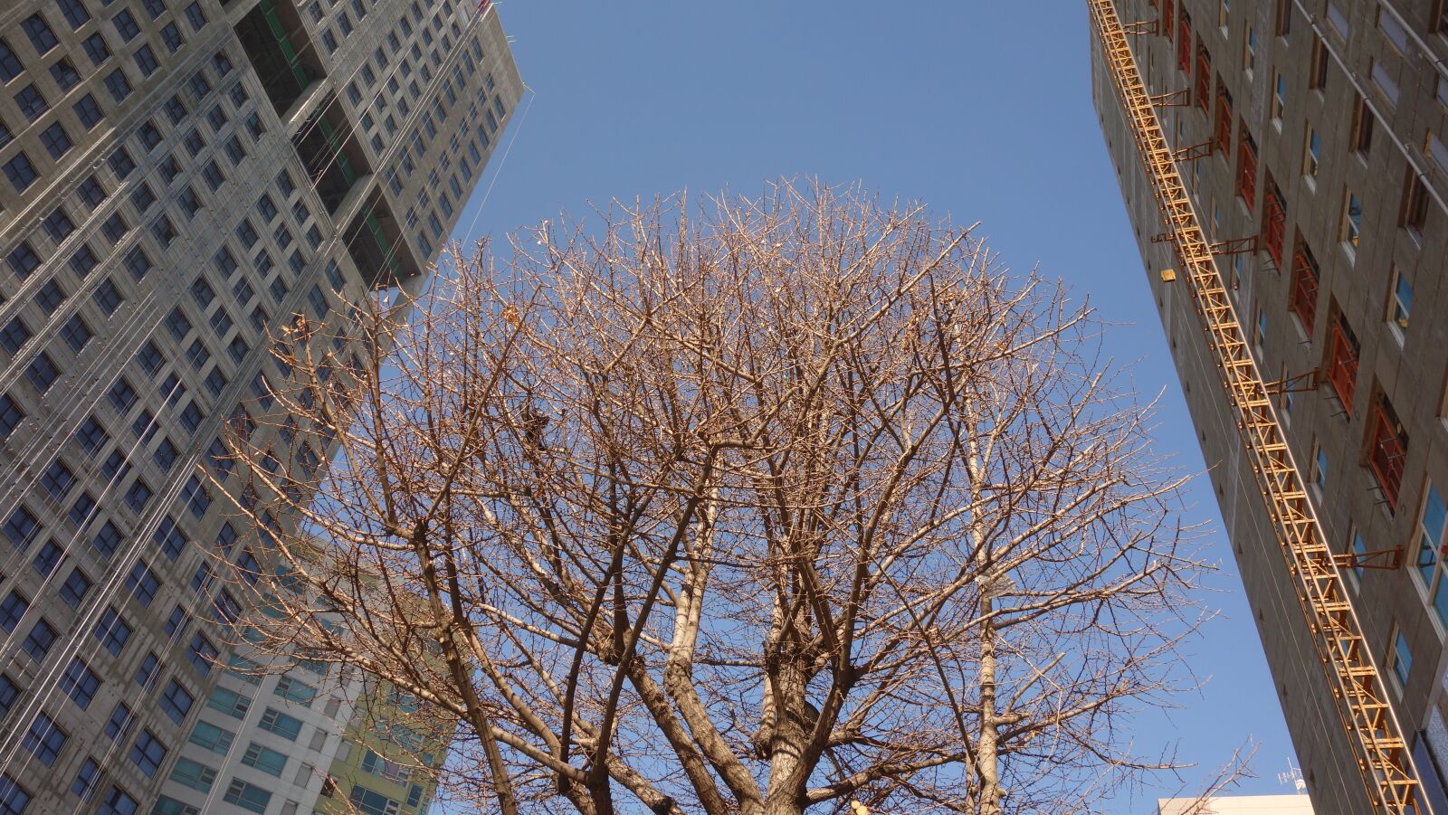 Sony Cyber-shot DSC-RX100 sample photo. South korea, incheon, street photography