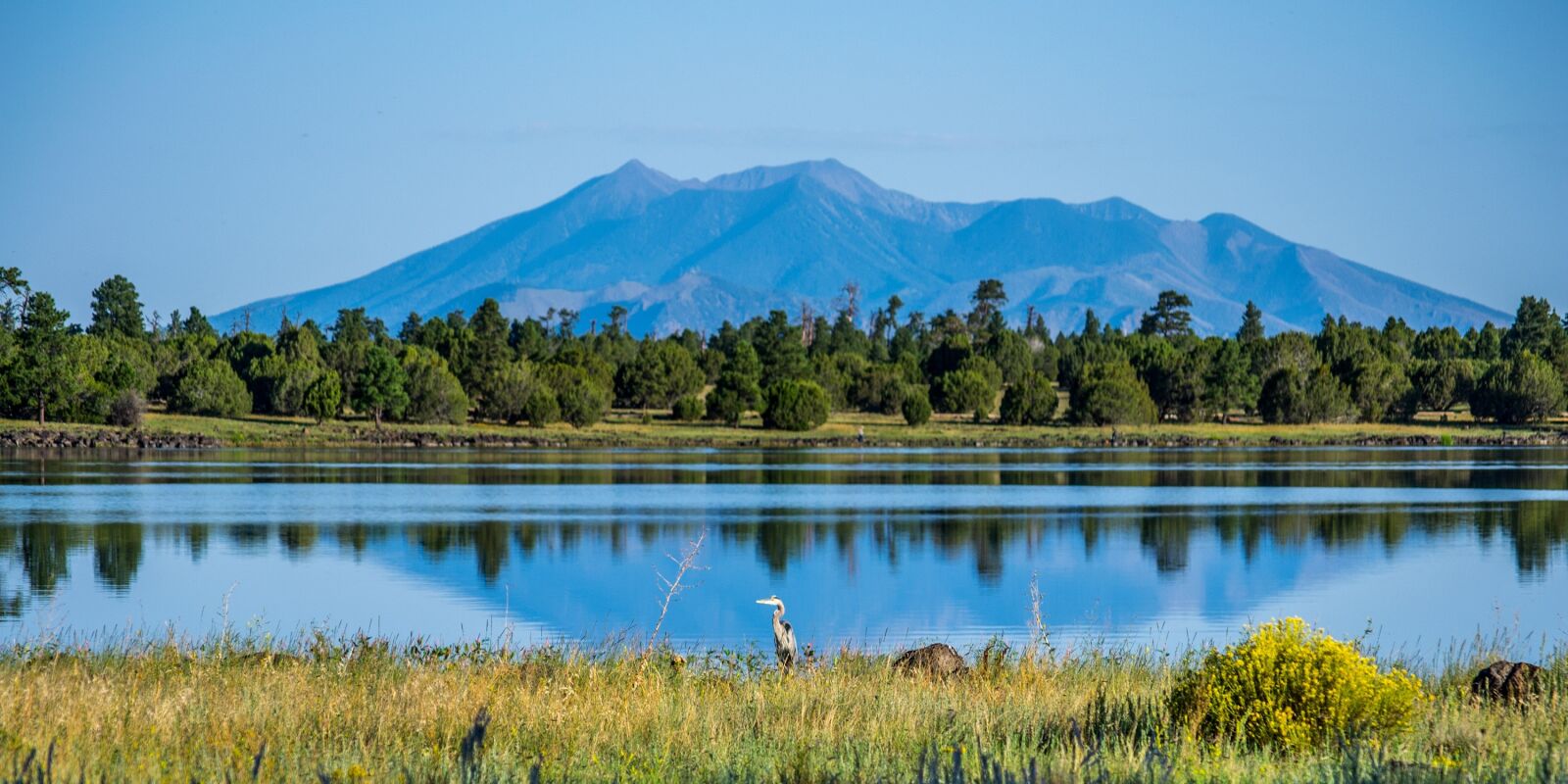Nikon D3100 sample photo. Lake, calm, coconino national photography