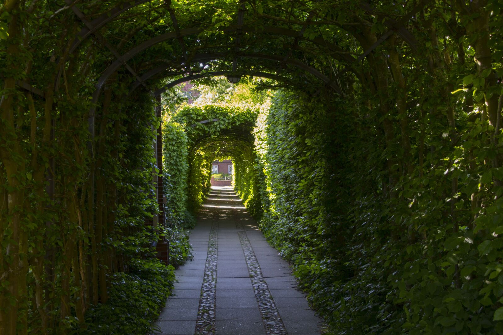 Canon EOS 60D sample photo. Passage, goal, input photography