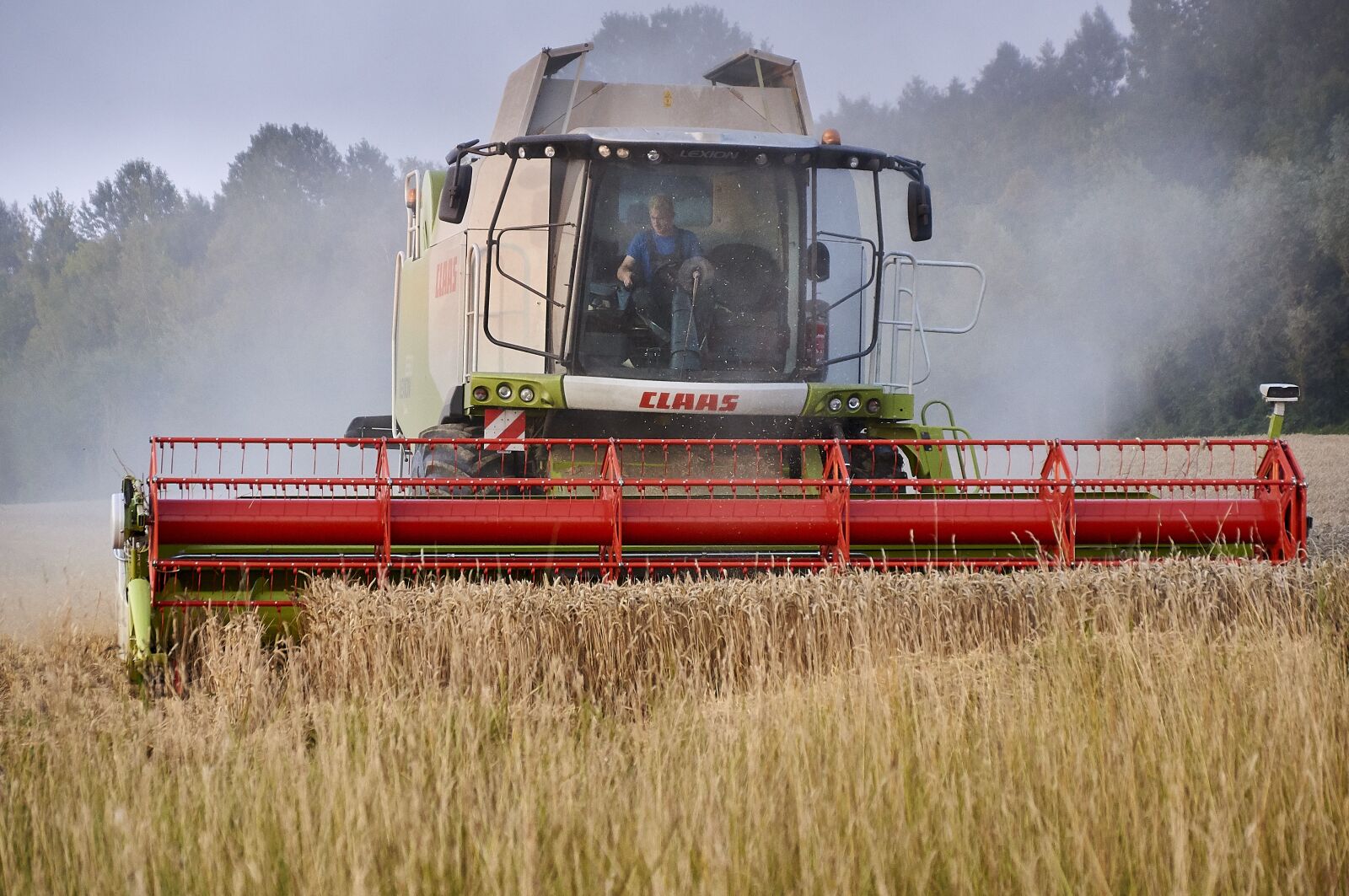 Sony SLT-A55 (SLT-A55V) sample photo. Agriculture, field, wheat photography