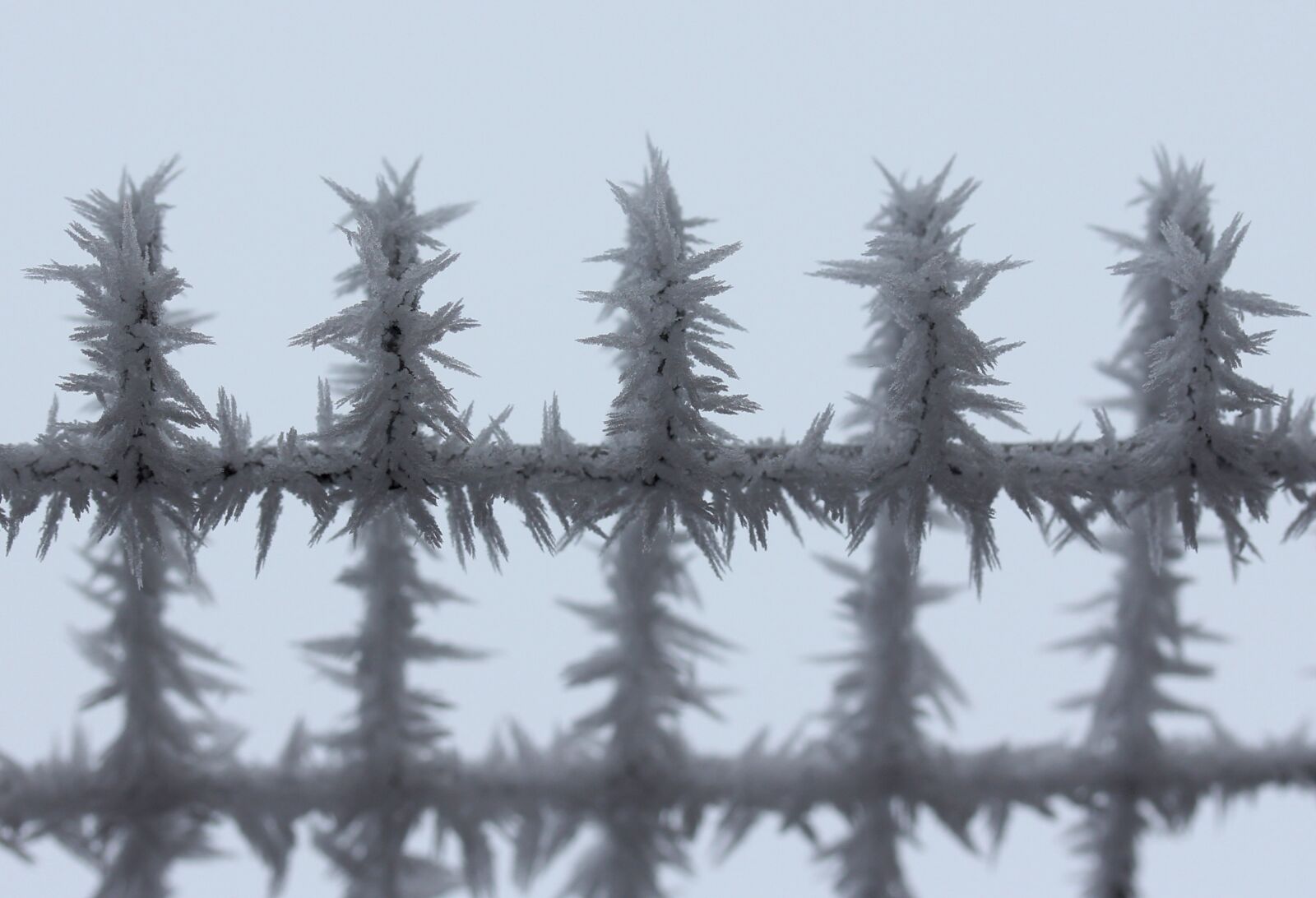 Canon EF-S 60mm F2.8 Macro USM sample photo. Fence, frozen, rime photography