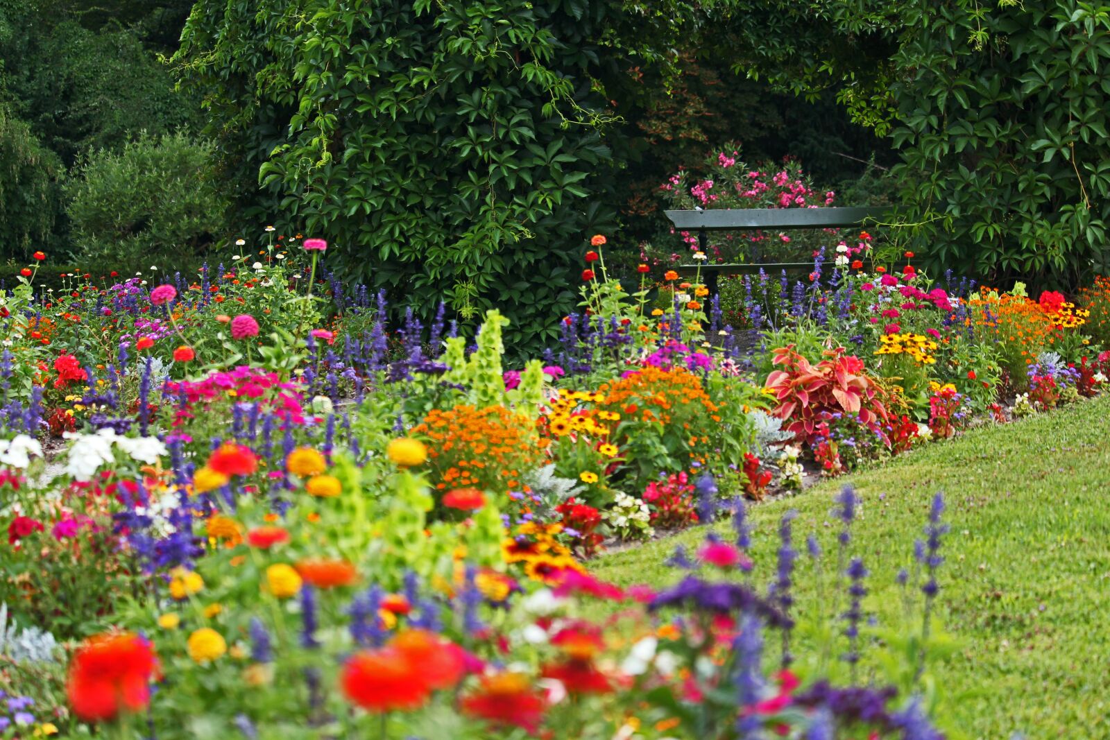 Canon EF-S 55-250mm F4-5.6 IS STM sample photo. Park, colorful flower beds photography