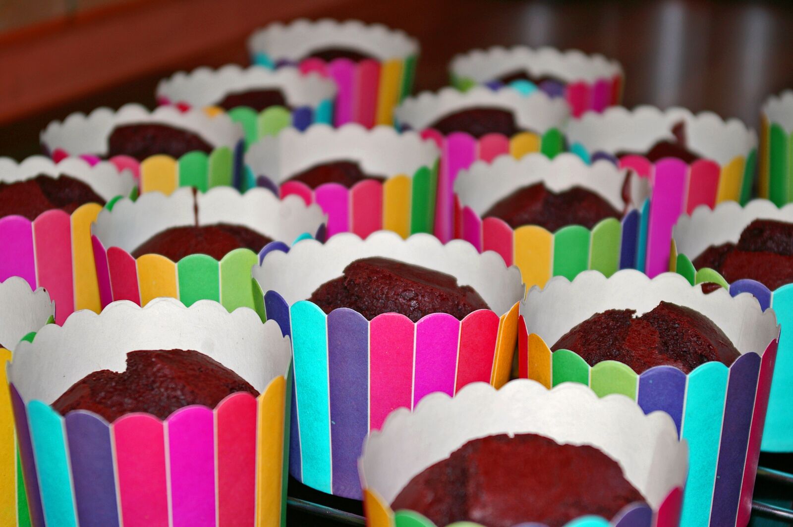Pentax *ist DL2 sample photo. Muffins, schokomuffins, treat photography