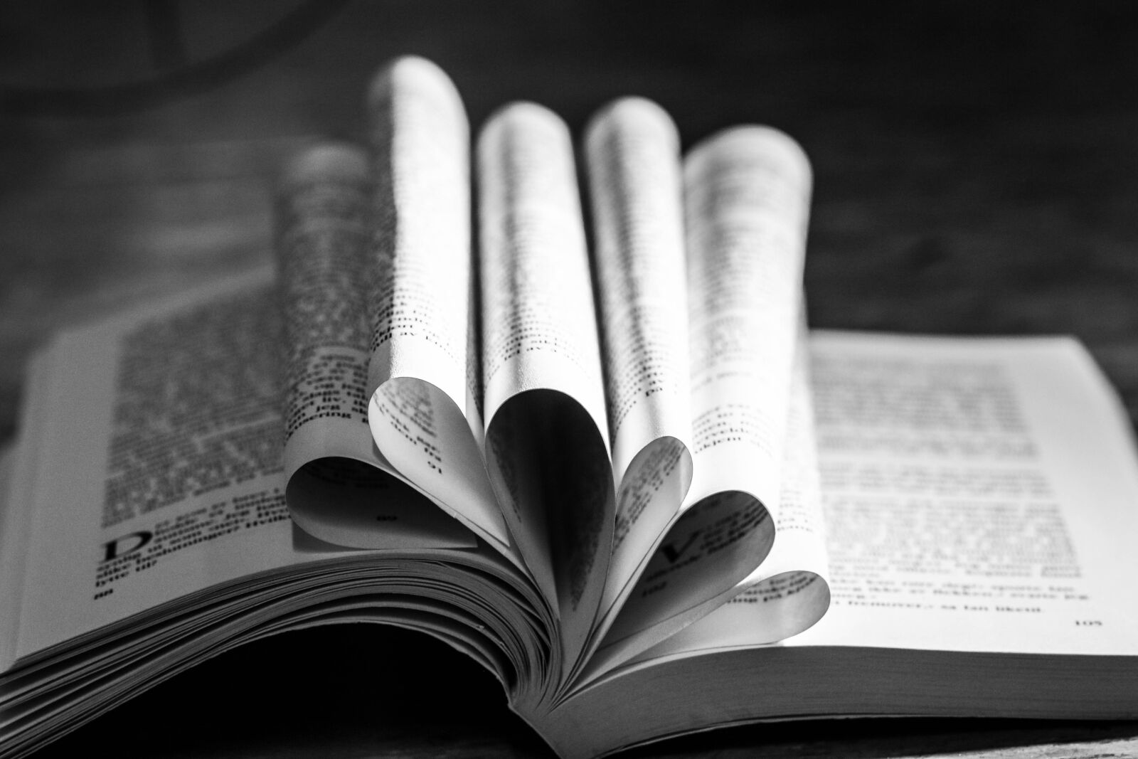 Canon EOS 7D Mark II sample photo. Book, reading, pages photography