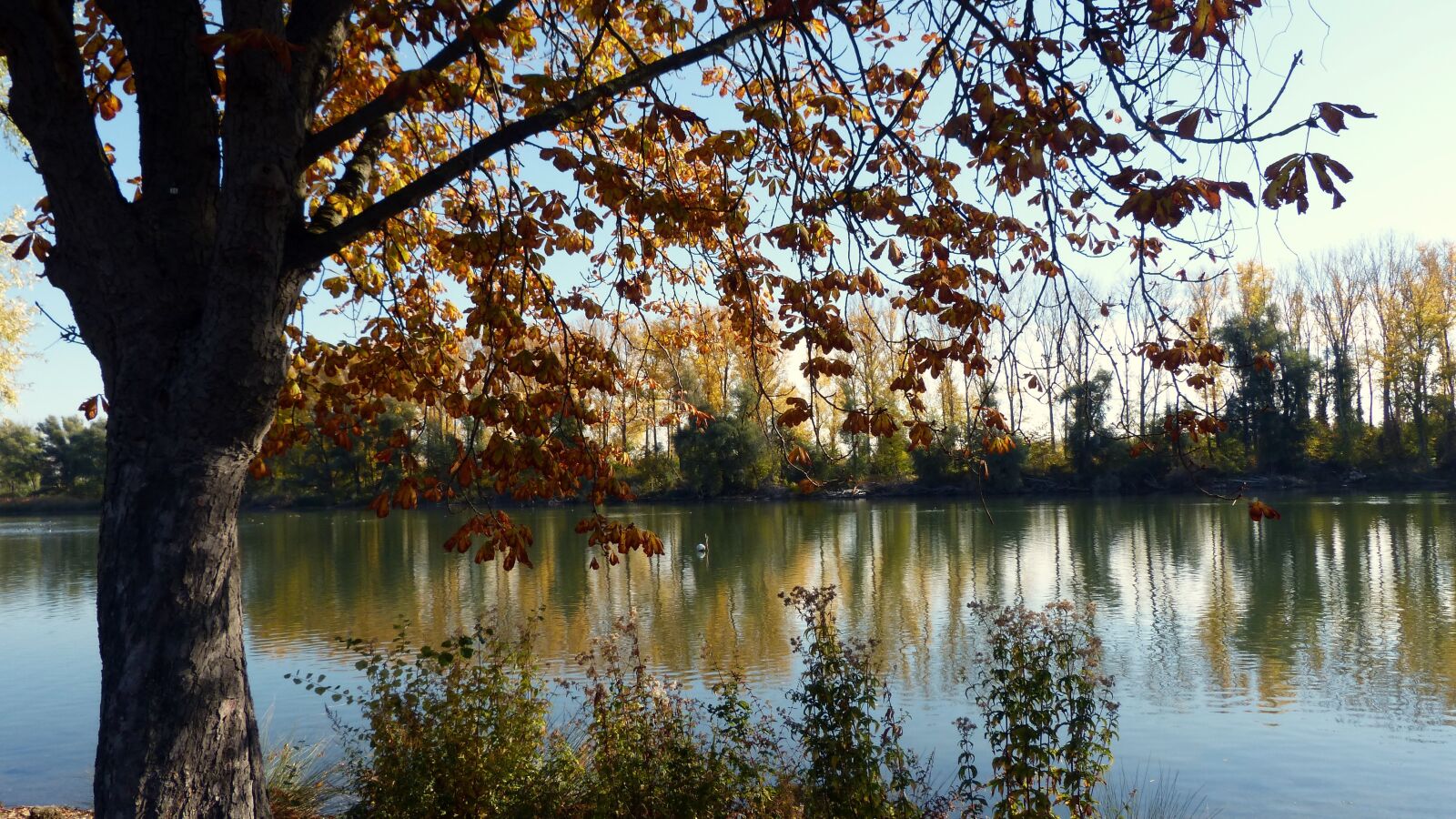 Panasonic DMC-FZ62 sample photo. River, autumn, scenic photography