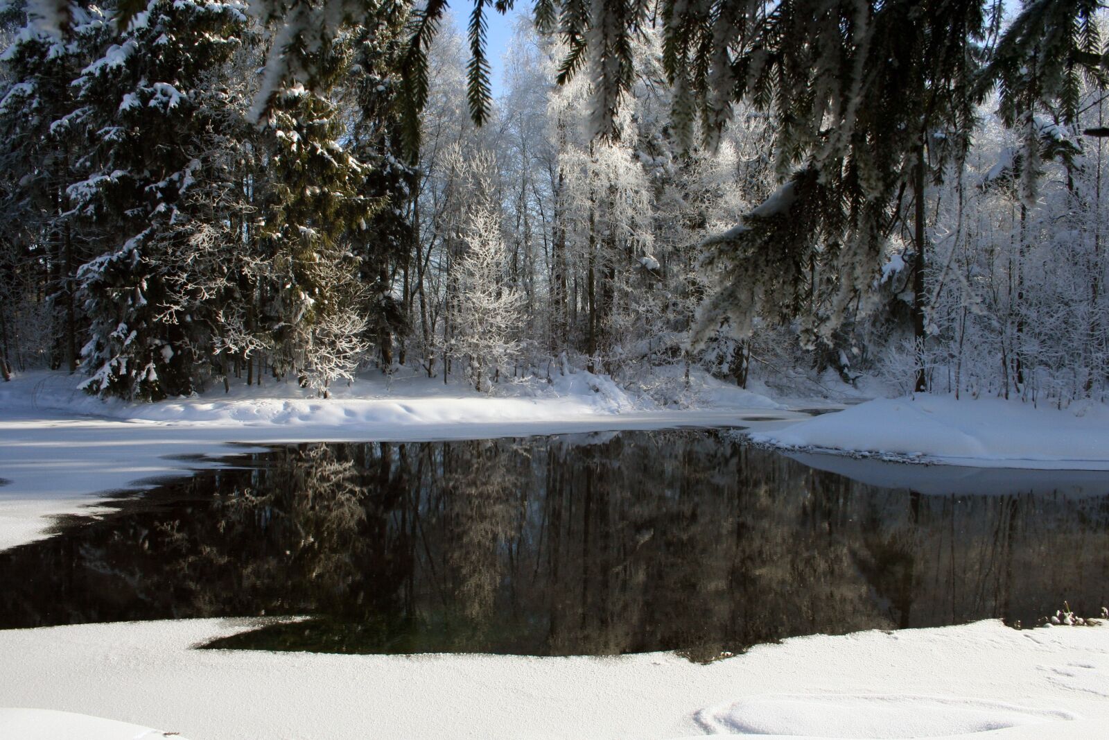 Canon EOS 350D (EOS Digital Rebel XT / EOS Kiss Digital N) sample photo. Russian winter, winter, zimushka photography