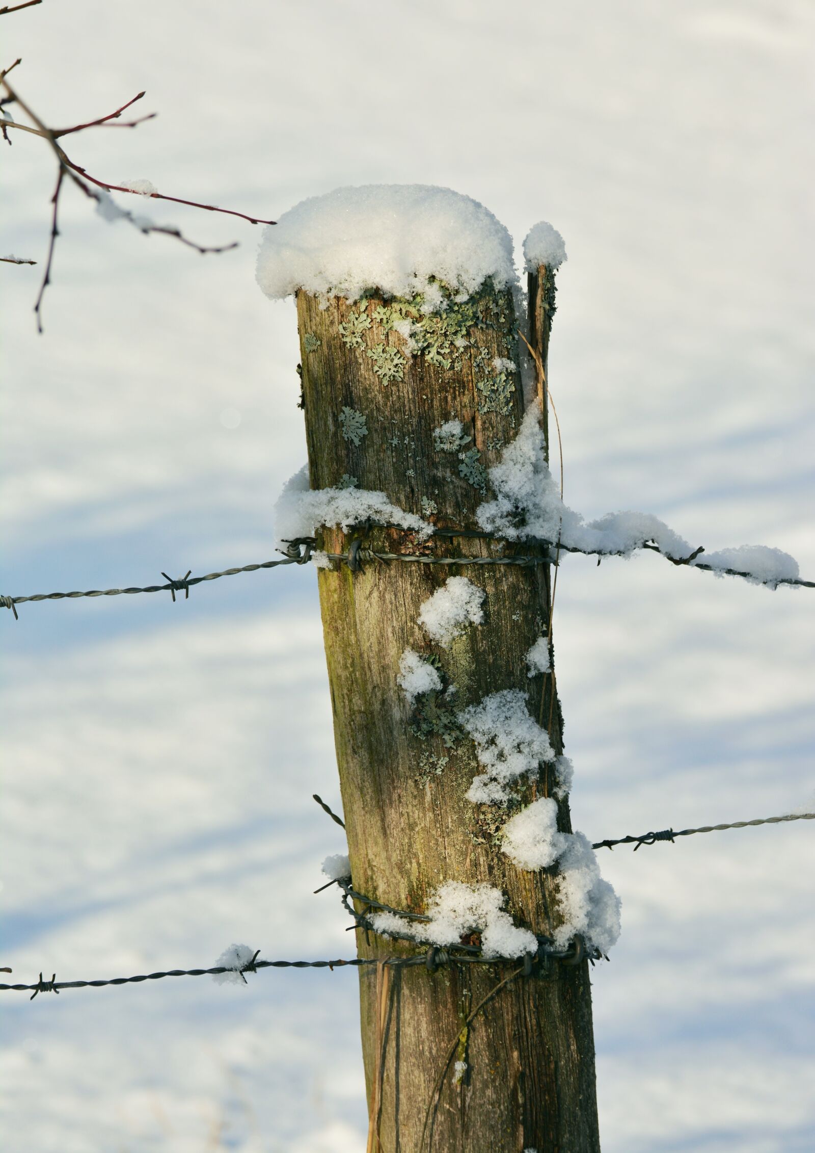 Nikon D5200 sample photo. Winter, fence post, snowy photography