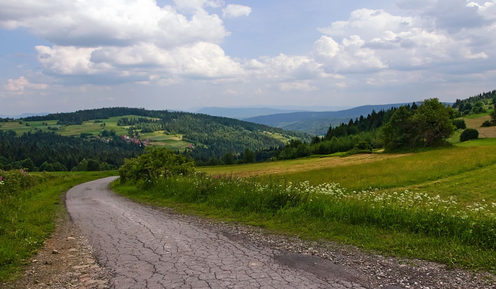 Nikon D90 sample photo. Way, mountains, clouds photography