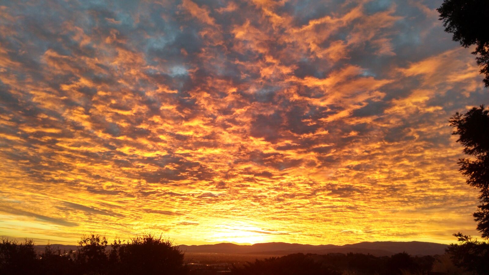 Motorola Moto X (1st Gen) sample photo. California sunrise, sunrise, morning photography