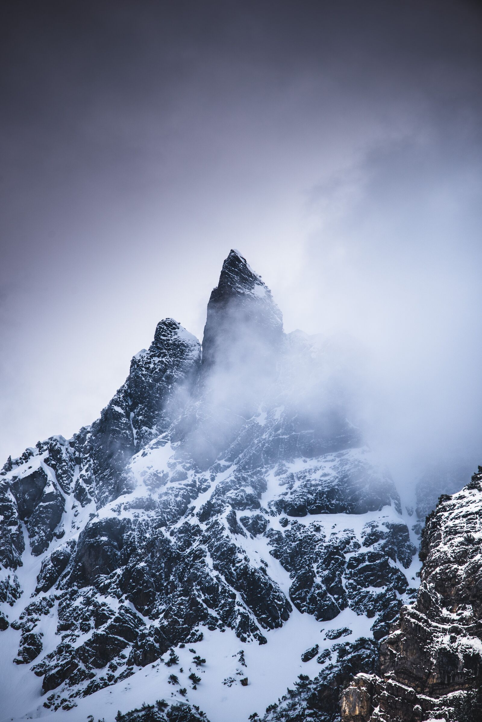 Nikon D750 sample photo. Mountains, bull head, fog photography
