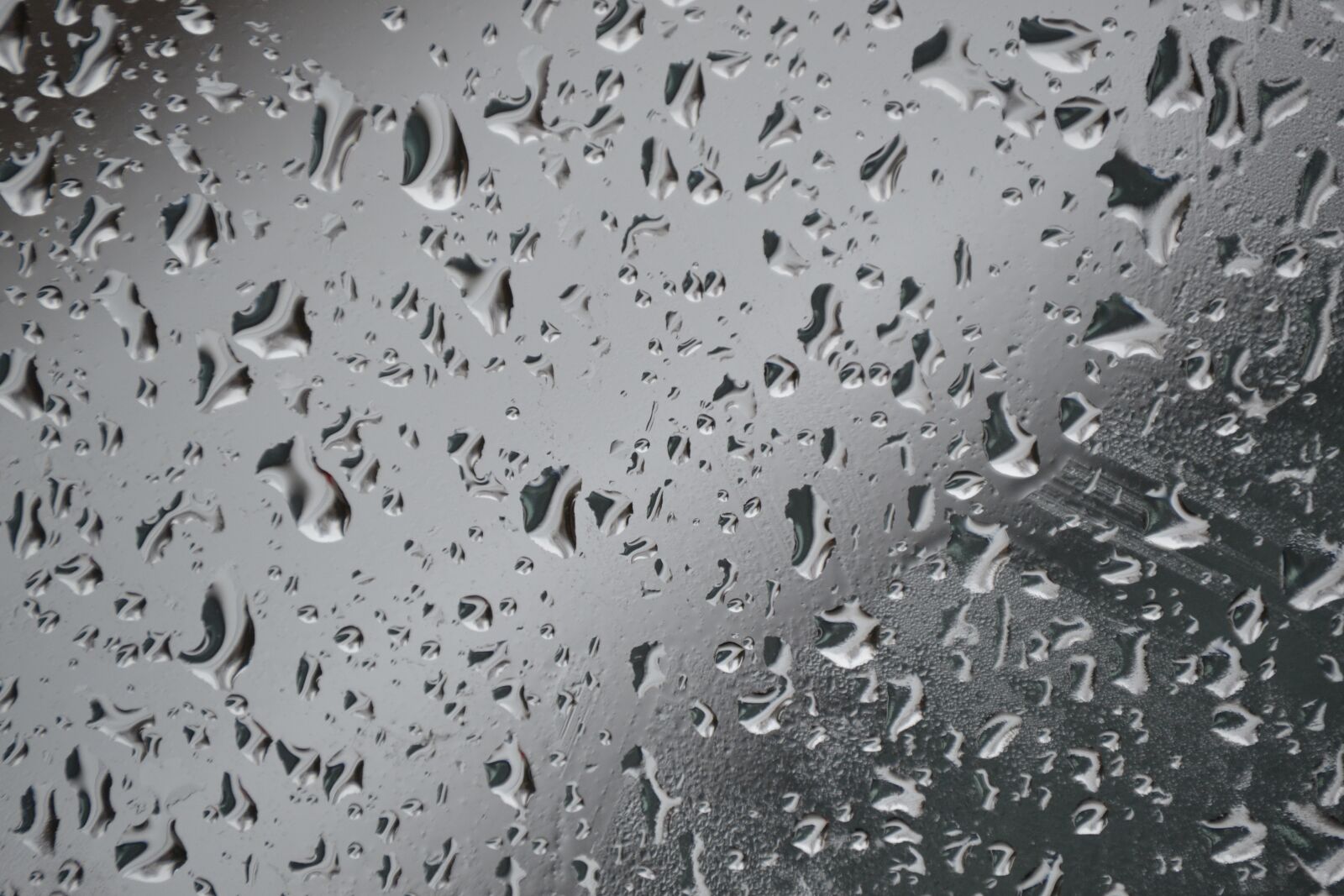 Nikon D3100 sample photo. Drops, water, detail photography