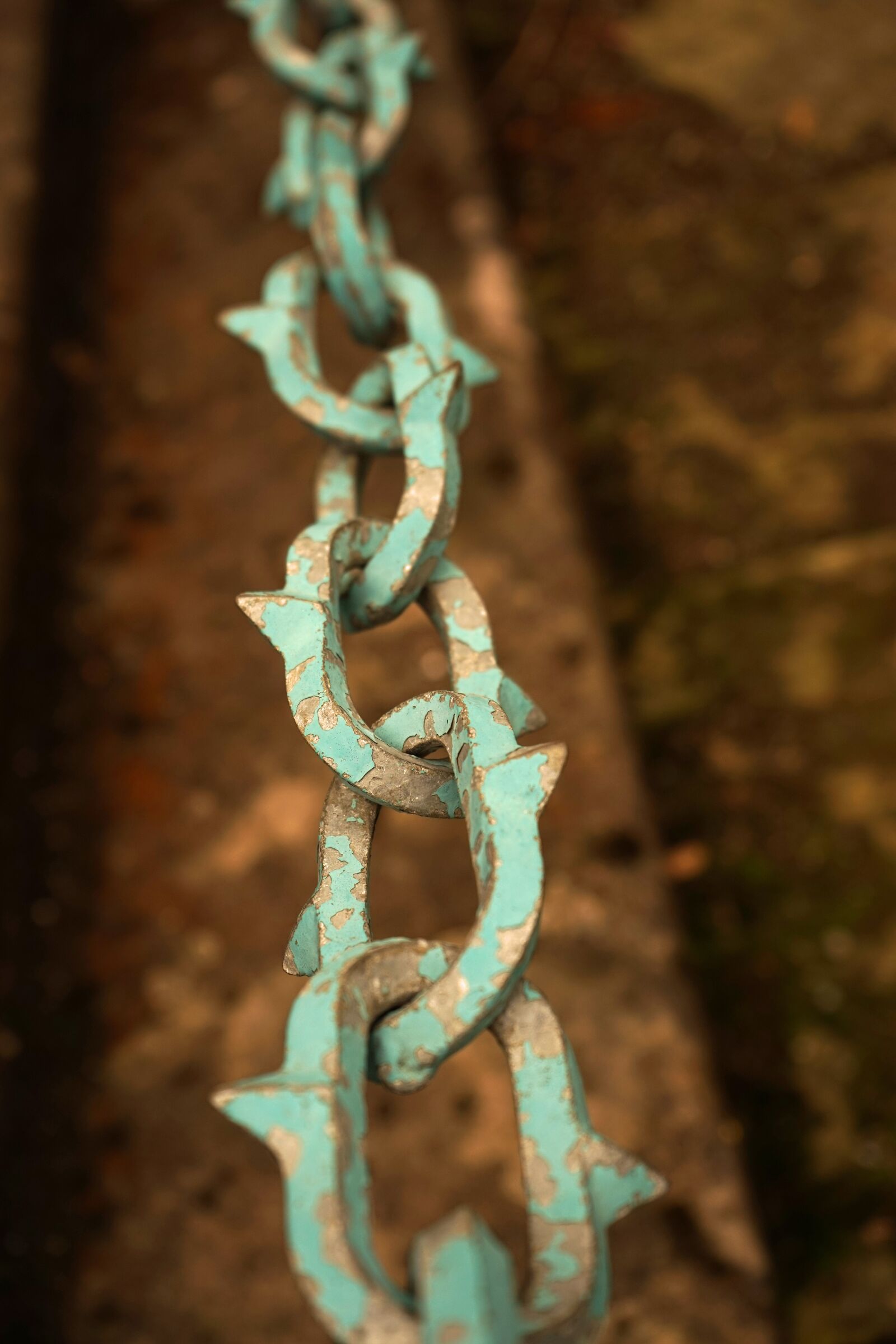 Sony a7 + Sony FE 28-70mm F3.5-5.6 OSS sample photo. Chain, barrier, green photography