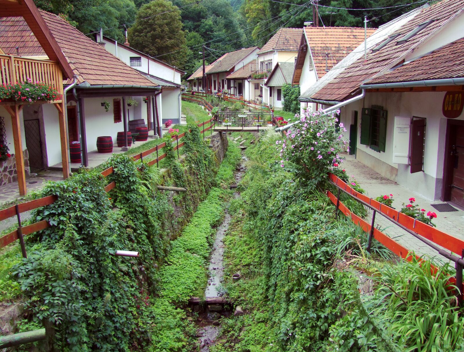 Fujifilm FinePix S100fs sample photo. Stream, village, mountains photography