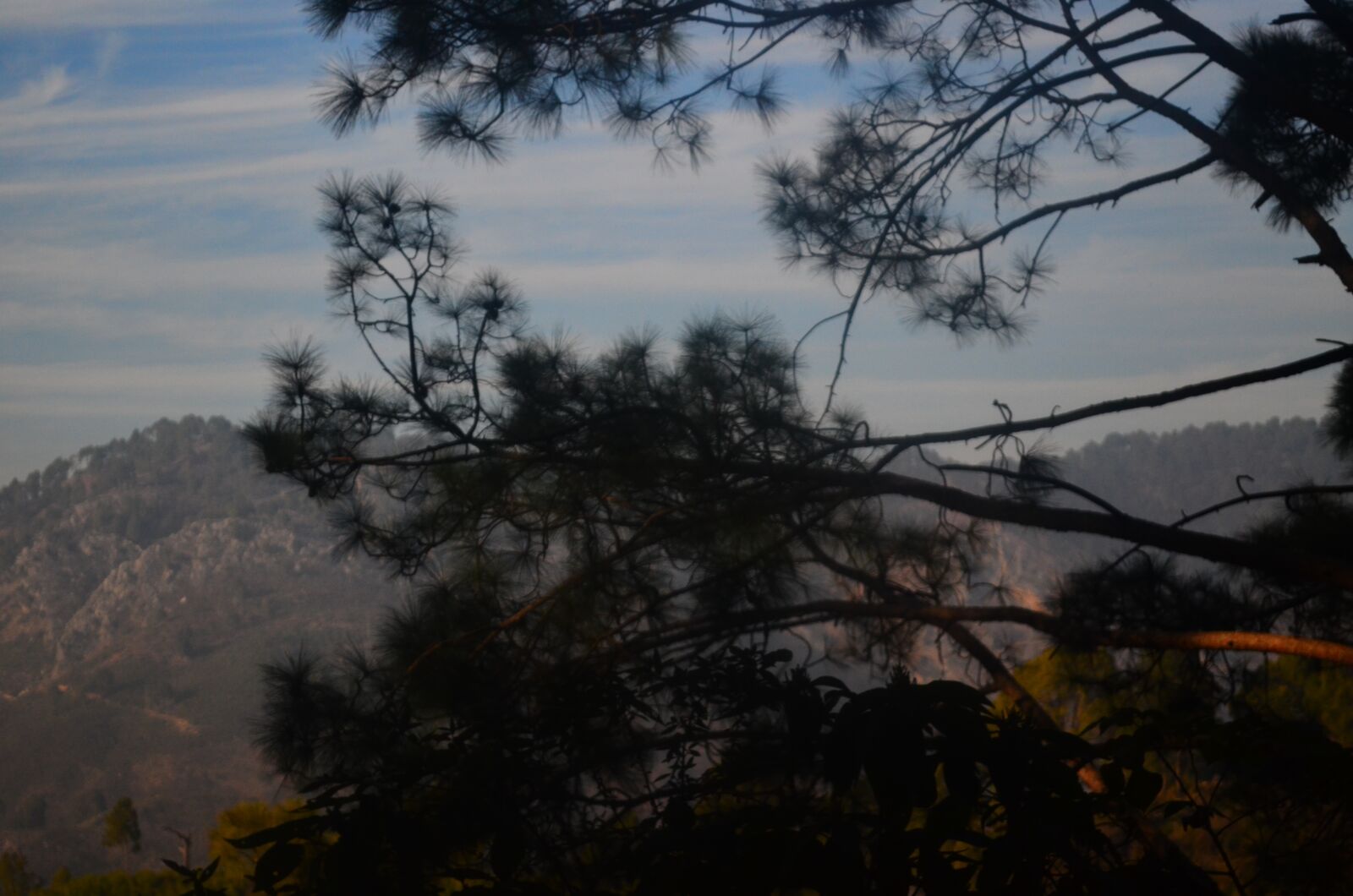 Nikon D5100 sample photo. People, nature, landscape photography