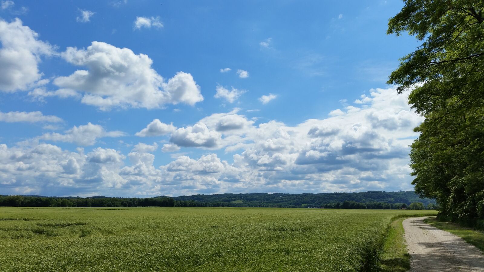 Samsung Galaxy S5 sample photo. Landscape, sky, rural photography