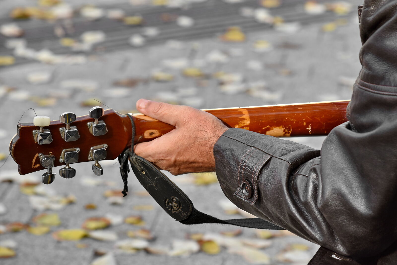 Nikon D5500 sample photo. Acoustic, autumn season, festival photography