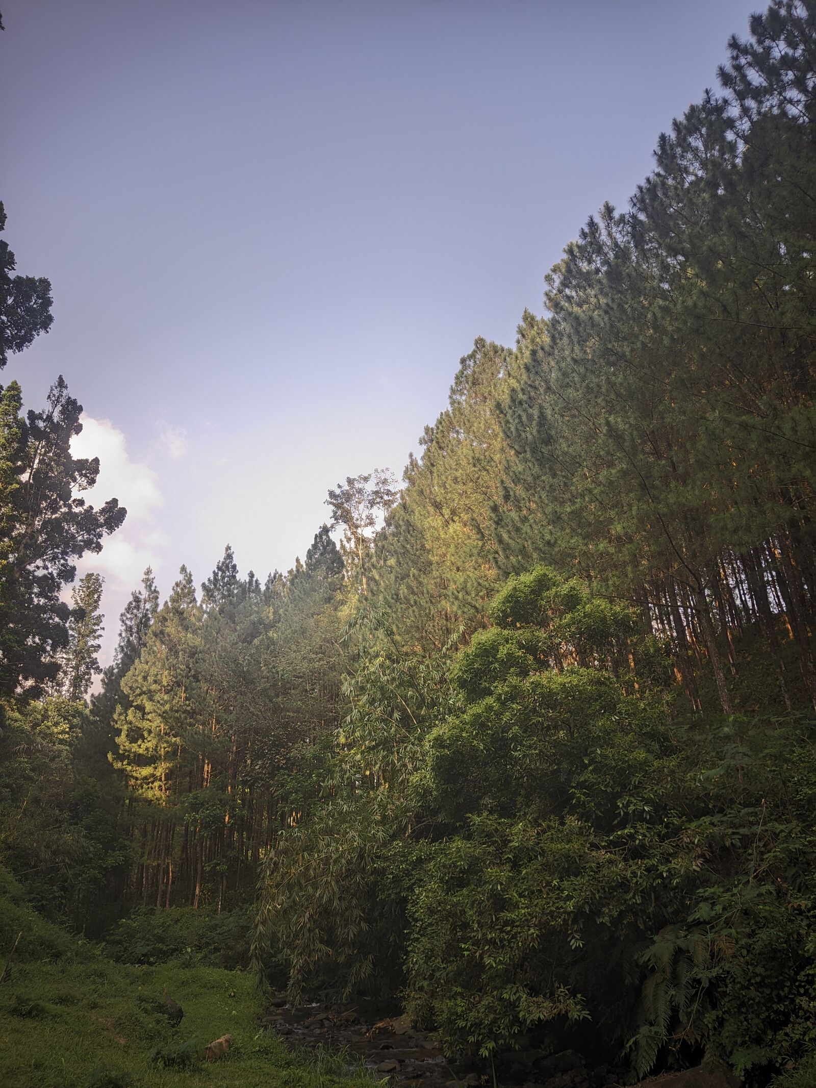 Xiaomi Redmi Note 8 sample photo