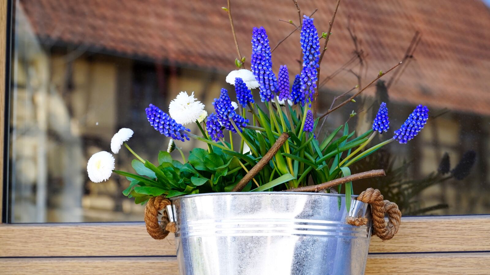 Sony E PZ 18-105mm F4 G OSS sample photo. Flowers, spring flowers, early photography