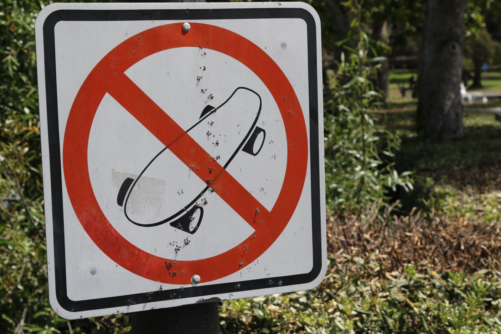 Canon EOS 7D Mark II sample photo. Old sign, vandilized sign photography
