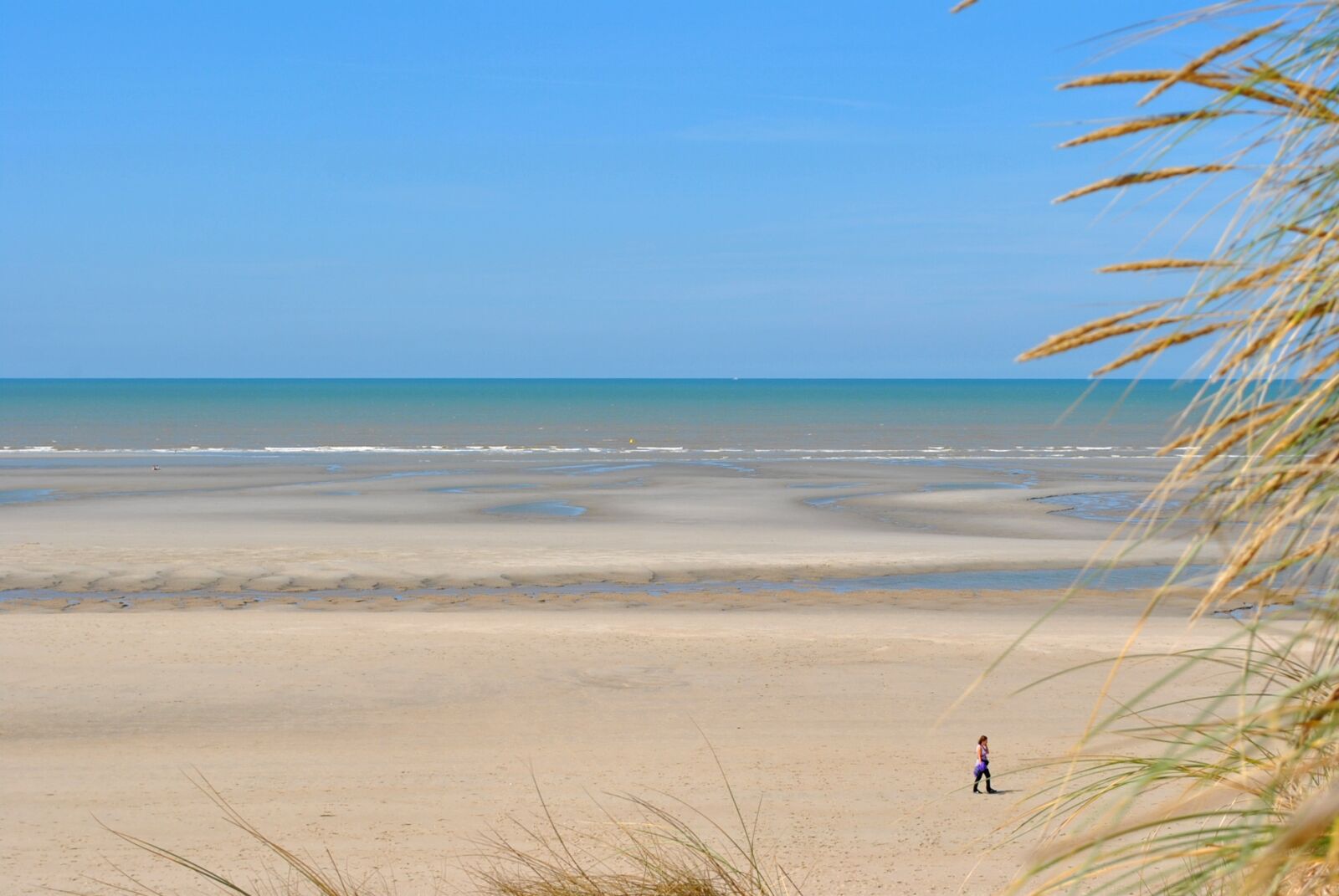 Nikon D3000 sample photo. Beach, sea, man photography