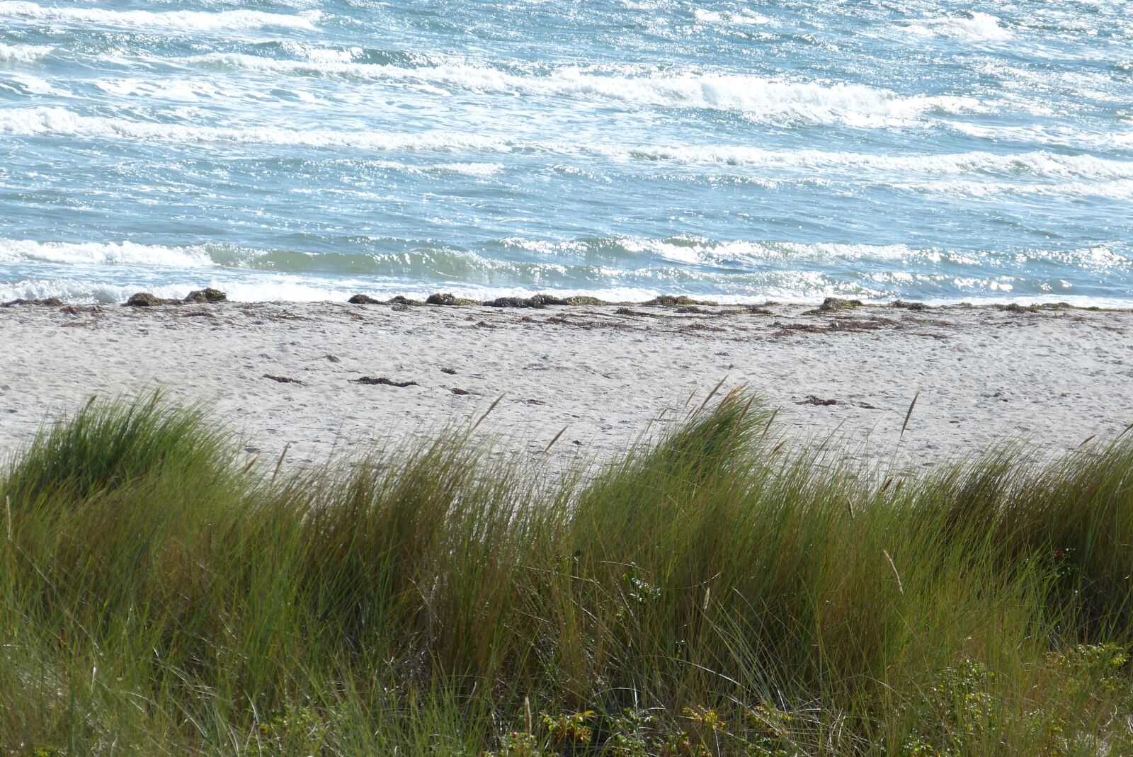 Panasonic Lumix DMC-FZ150 sample photo. Sea, baltic sea, beach photography