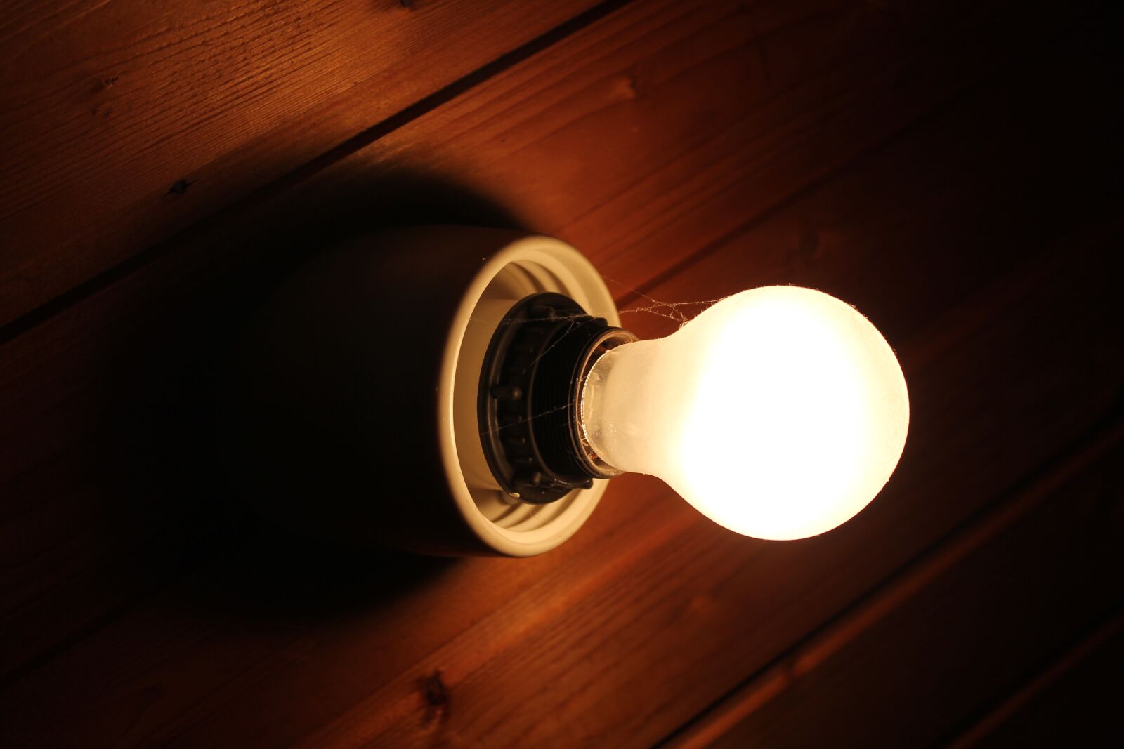 Canon EOS 1100D (EOS Rebel T3 / EOS Kiss X50) sample photo. Lamp, light, lamps photography
