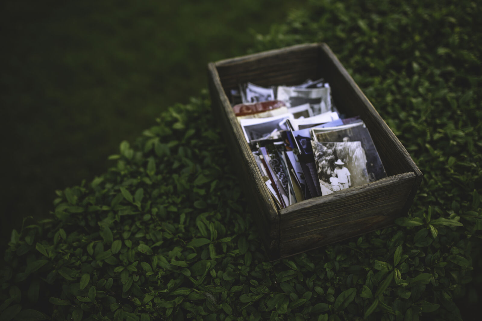 Canon EOS 6D + Sigma 35mm F1.4 DG HSM Art sample photo. Photos, in, the, wooden photography