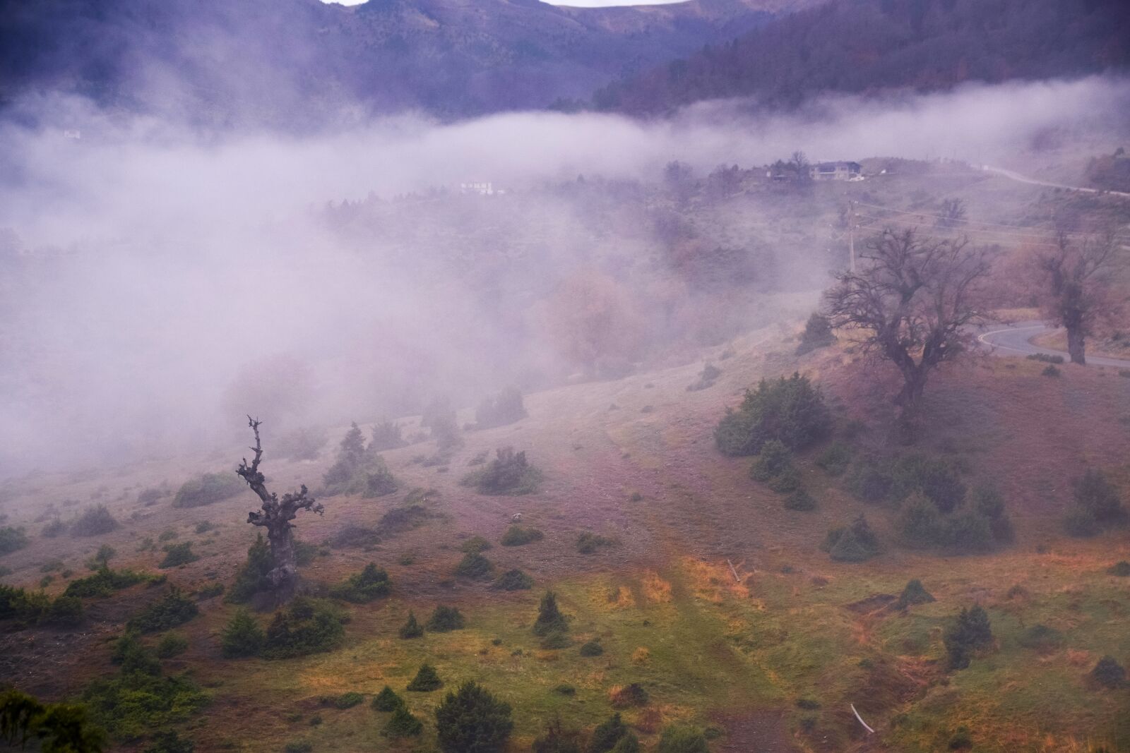 Nikon D5300 sample photo. Fog, nature, mountains photography