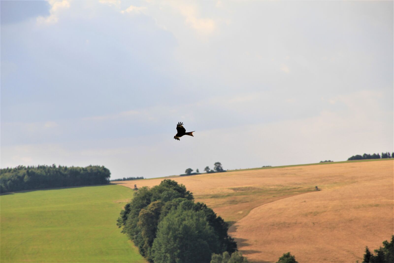 Canon EOS 550D (EOS Rebel T2i / EOS Kiss X4) sample photo. Summer, landscape, mountains photography