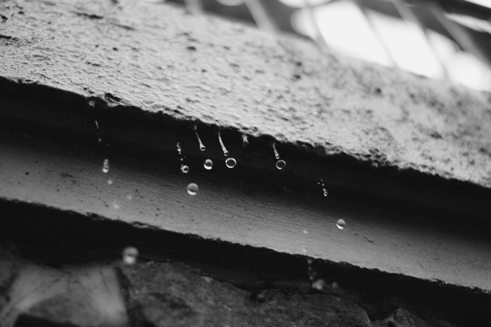 Nikon D5300 sample photo. Drop, water, wet photography