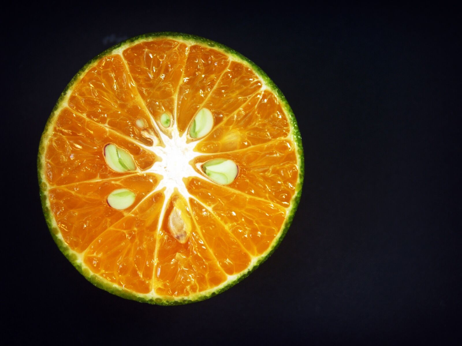 Olympus E-300 (EVOLT E-300) sample photo. Orange, fruit, slice photography