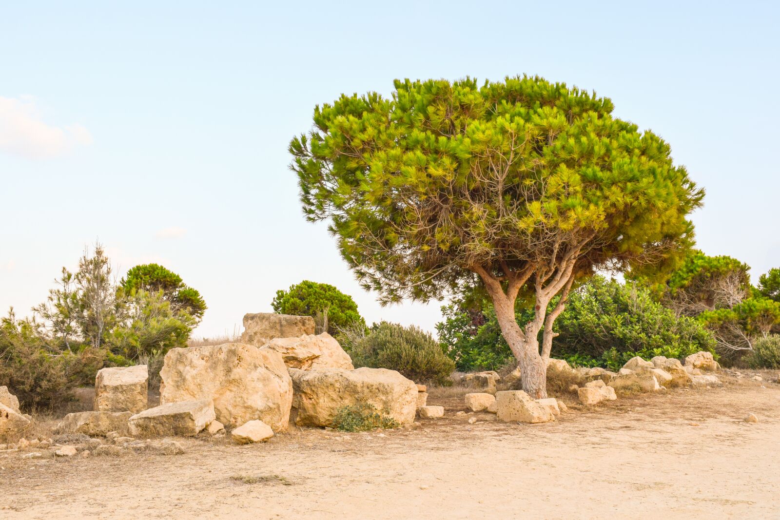 Nikon D3300 sample photo. Cyprus, paphos, tombs of photography