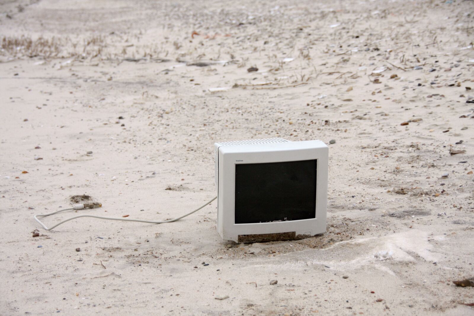 Canon EOS 40D sample photo. Monitor on the beach photography