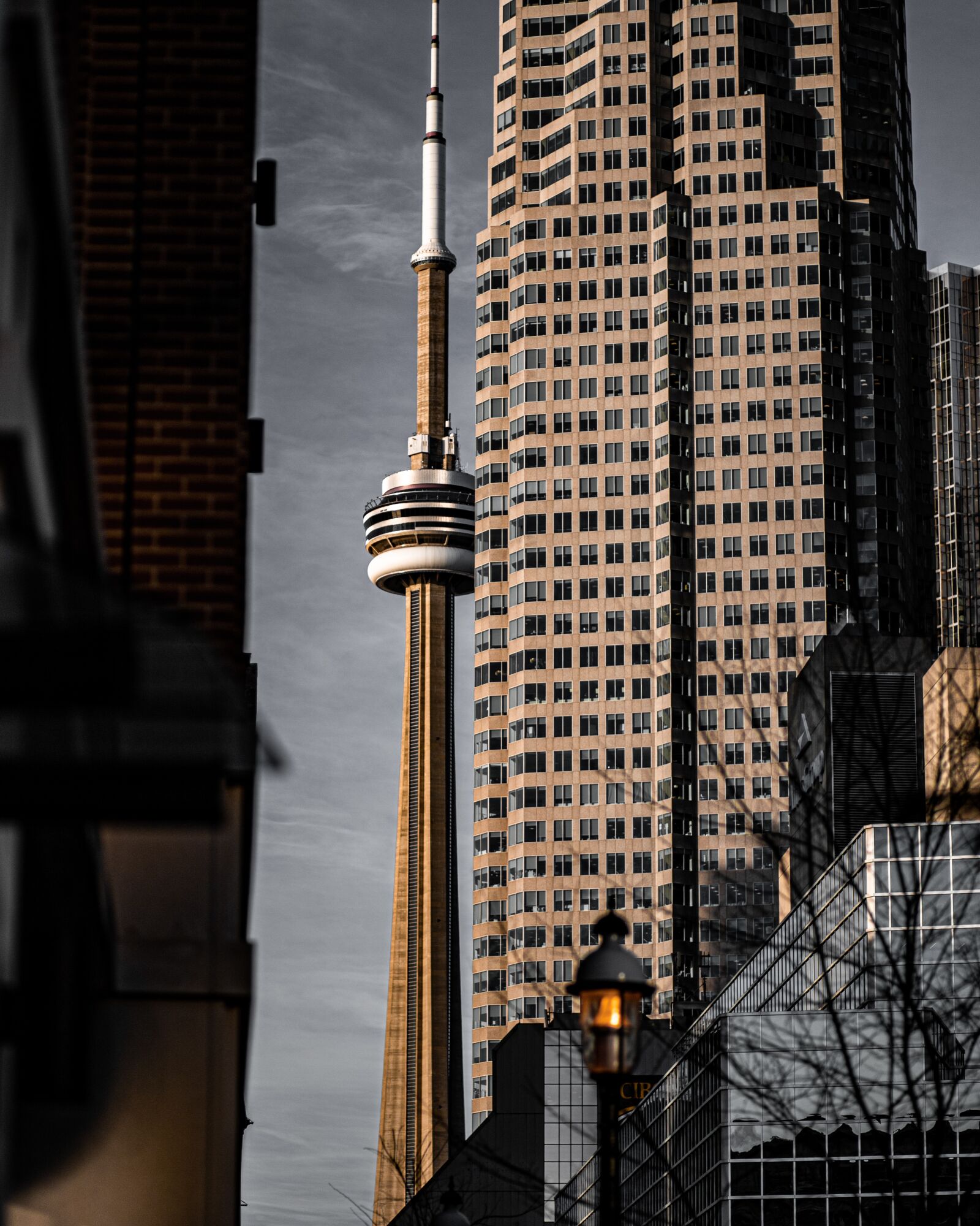 Canon EOS 6D Mark II + Canon EF 85mm F1.8 USM sample photo. Toronto, city, canada photography