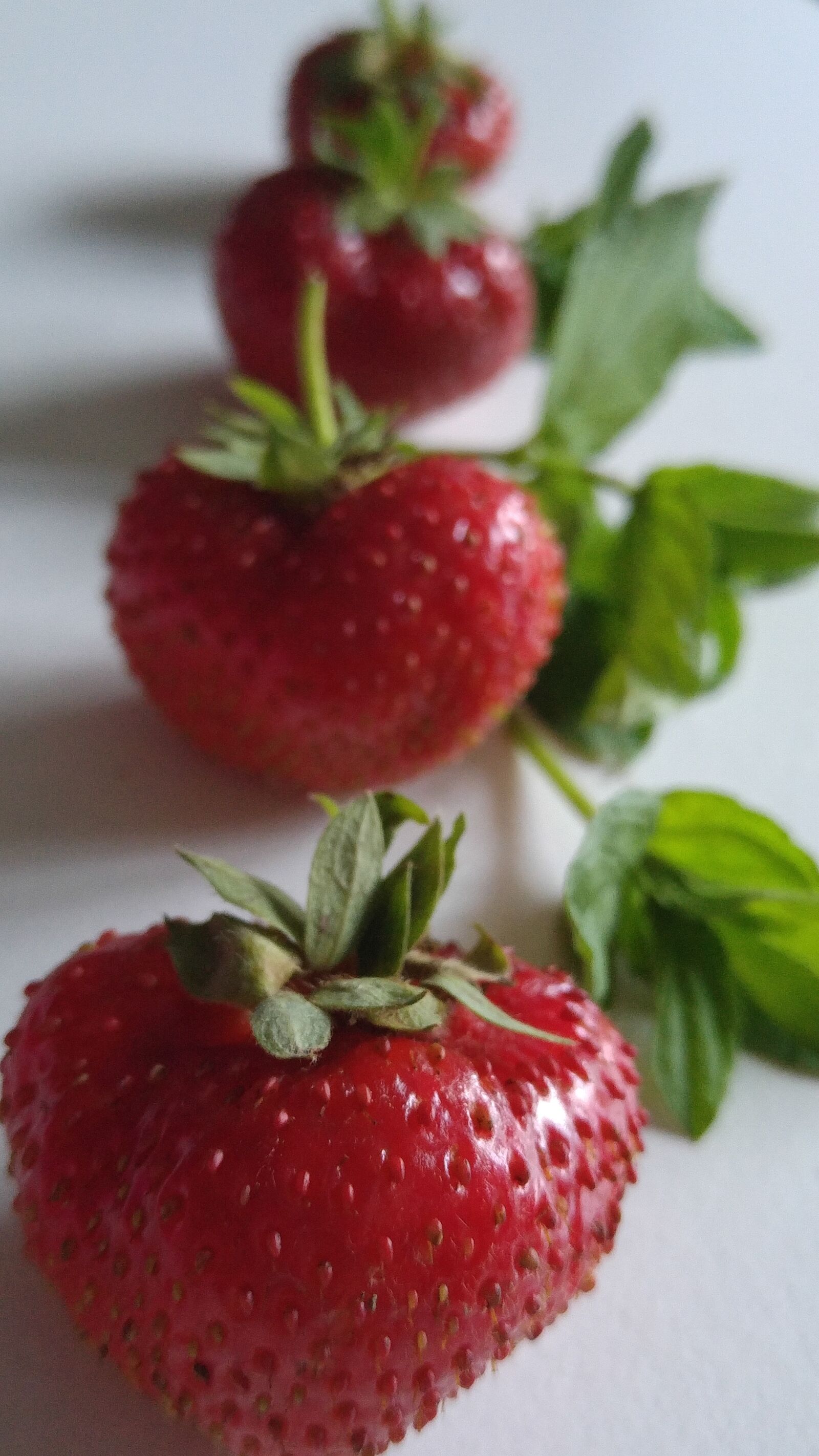 LG G4 sample photo. Strawberries, fruit, red photography