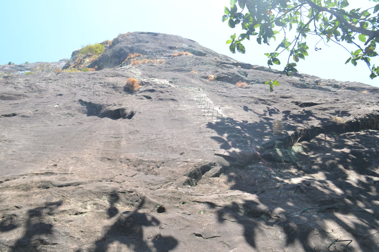 Nikon D3100 sample photo