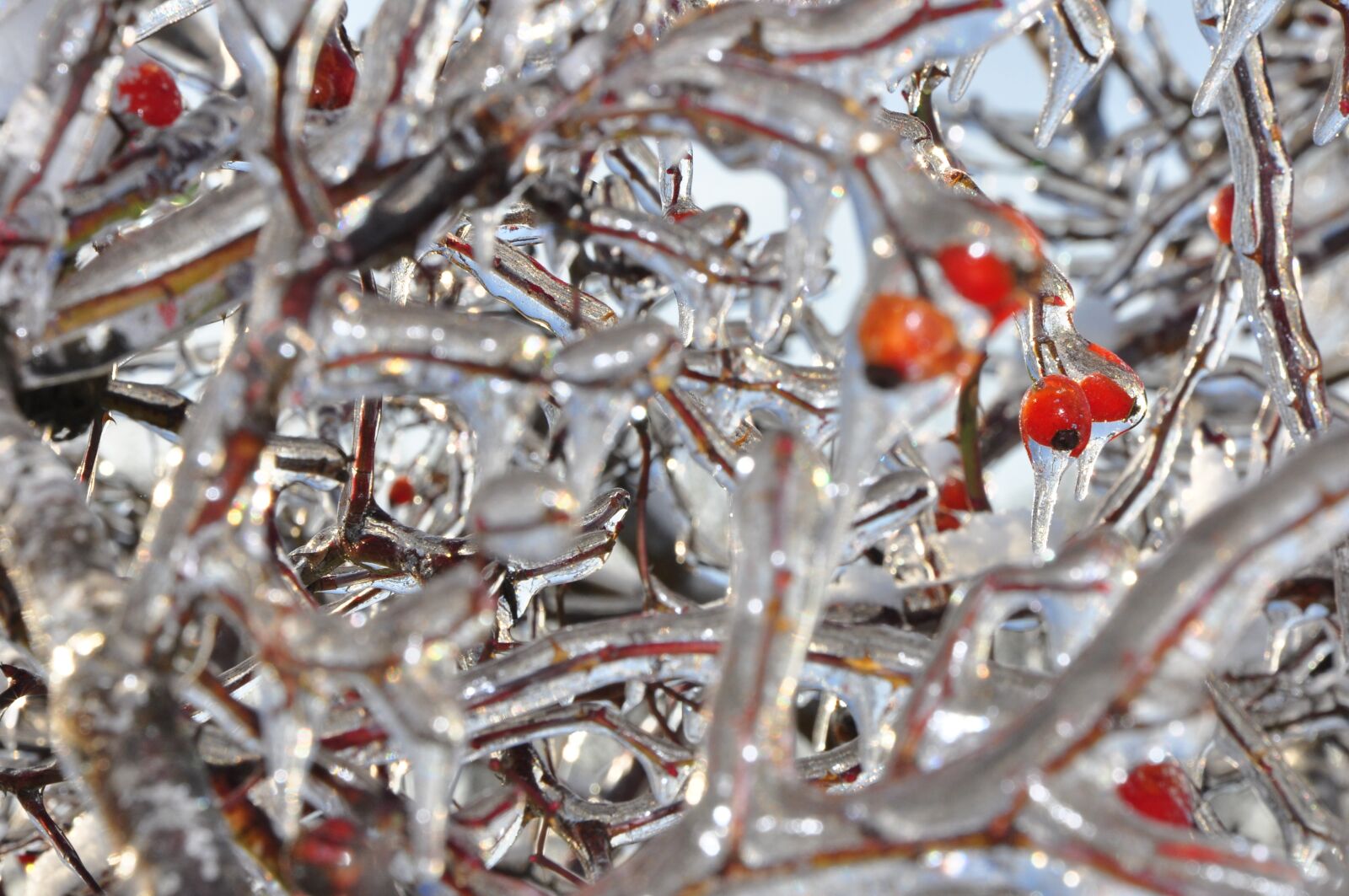 Nikon D90 sample photo. Winter, ice, będzin photography