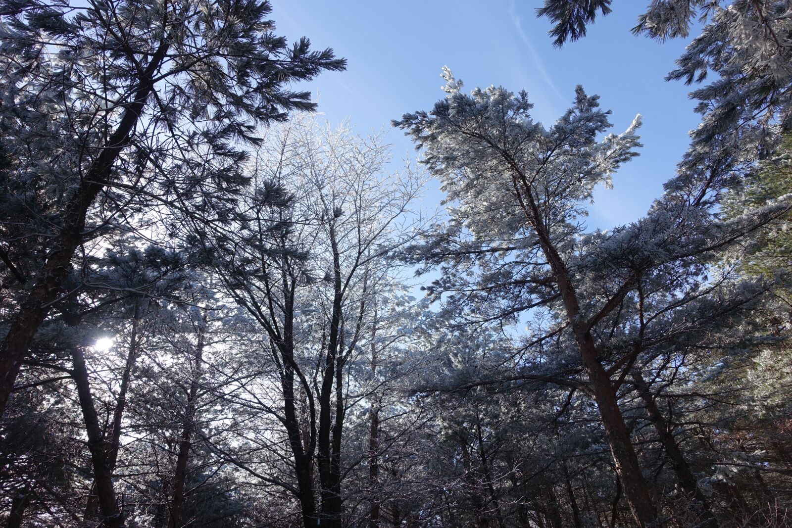 Sony Cyber-shot DSC-RX100 III sample photo. Mountain, snow mountain, halla photography