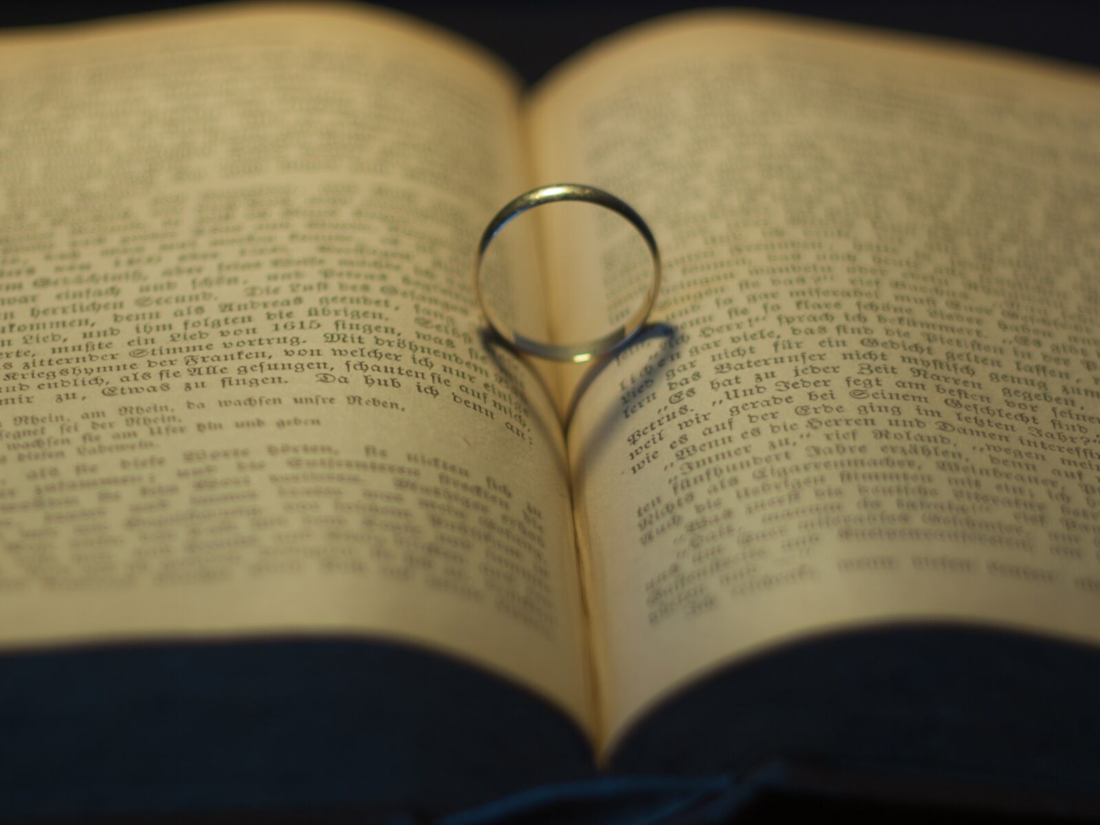 Olympus E-520 (EVOLT E-520) sample photo. Heart, book, ring photography