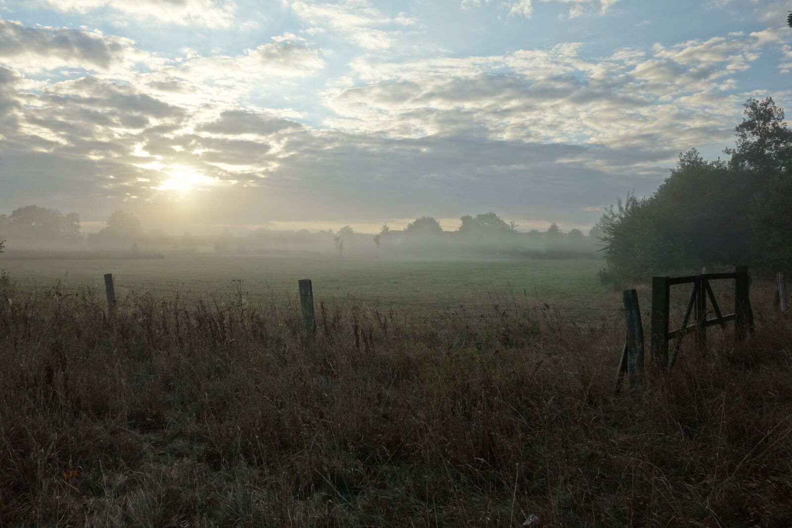 Sony Cyber-shot DSC-RX100 sample photo. Landscape, fog, morning photography