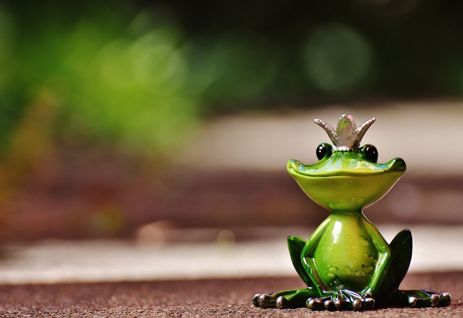 Nikon D7200 sample photo. Frog, frog prince, crown photography