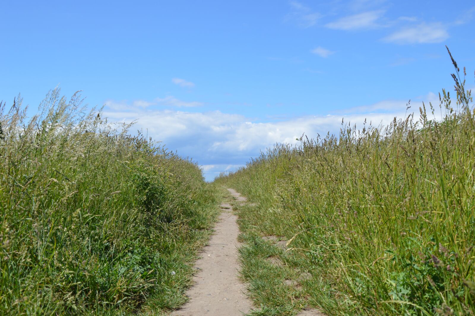 Nikon D3200 sample photo. Malmö, ribersborg, sweden photography