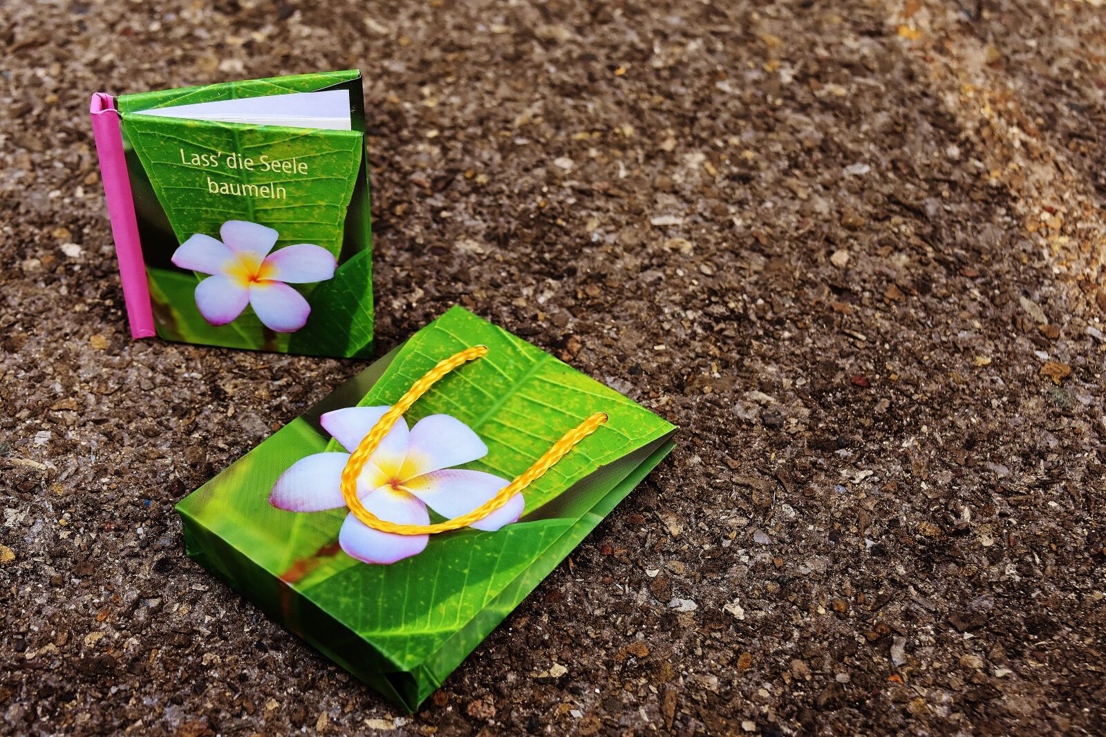 Nikon D7200 sample photo. Book, greeting card, relax photography