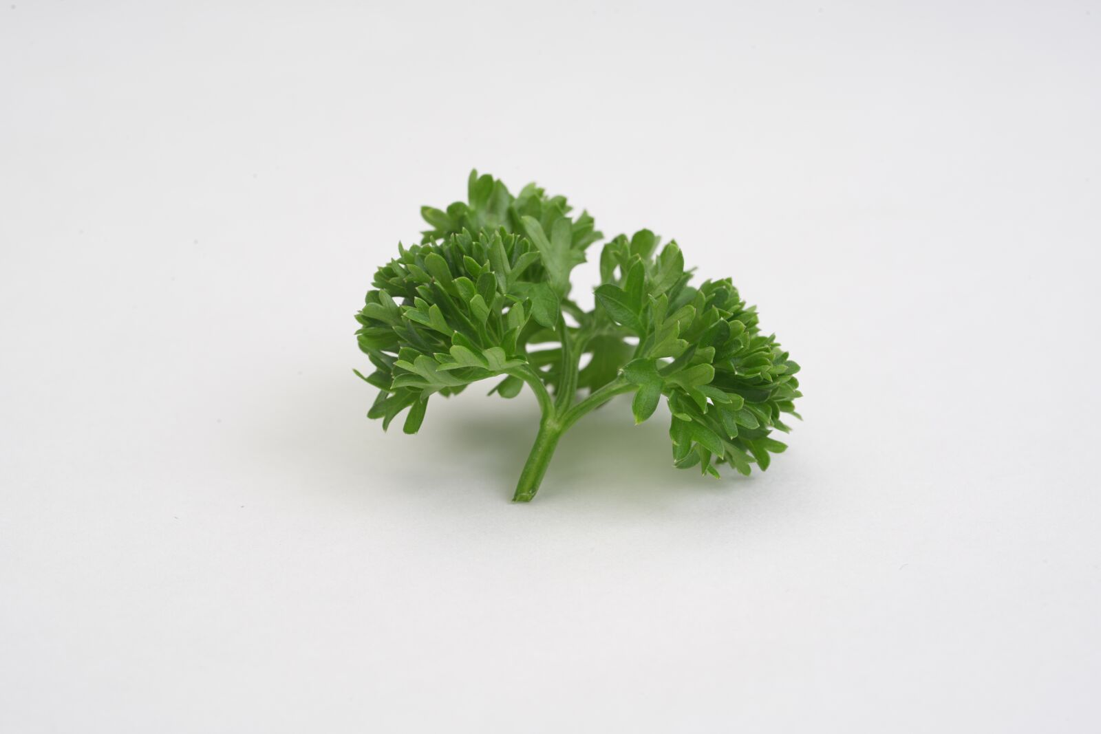 Sony a7R II + Sony FE 90mm F2.8 Macro G OSS sample photo. Parsley, vegetable, green photography