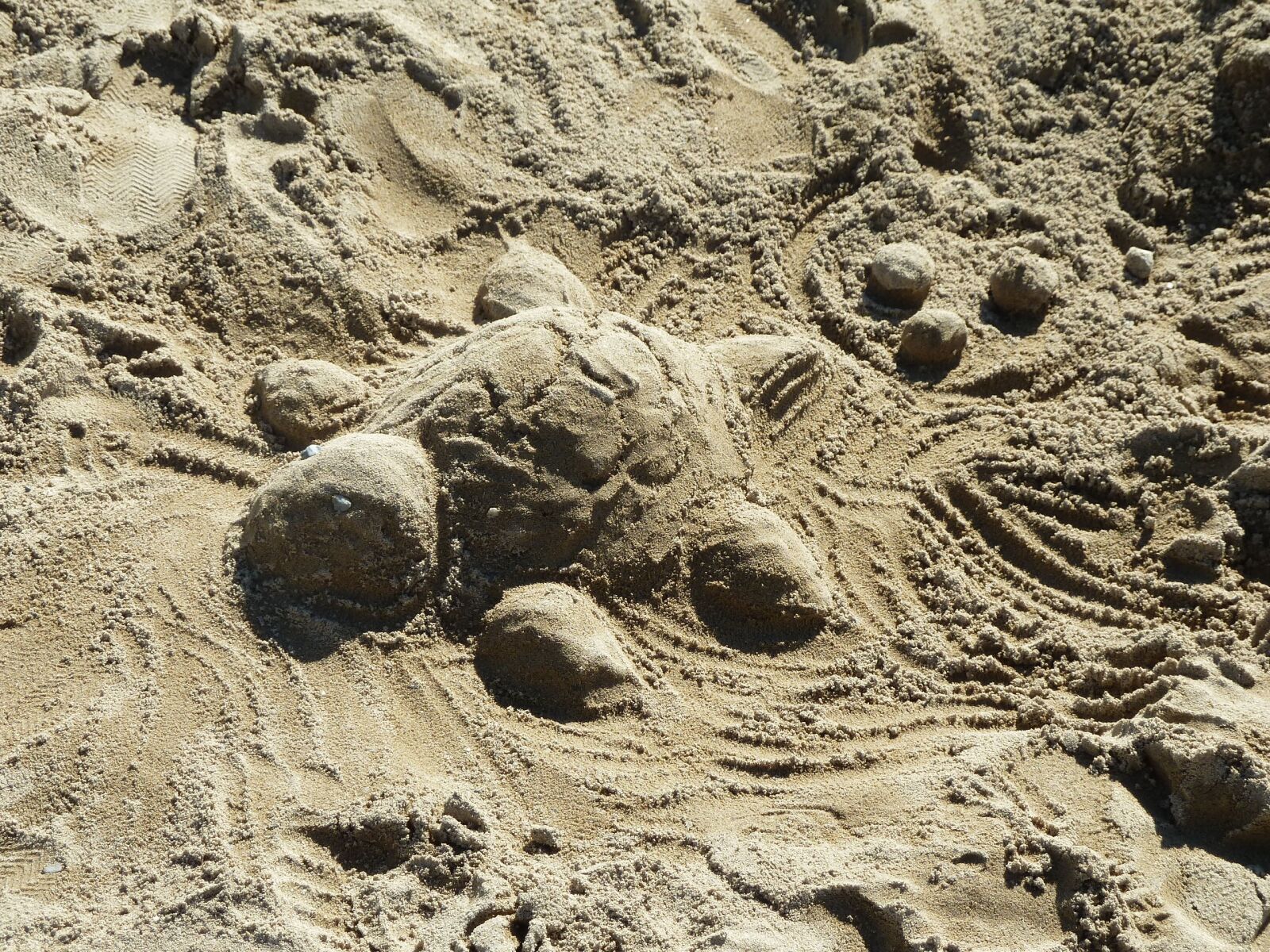 Panasonic Lumix DMC-ZS5 (Lumix DMC-TZ8) sample photo. Sand, turtle, sculpture photography