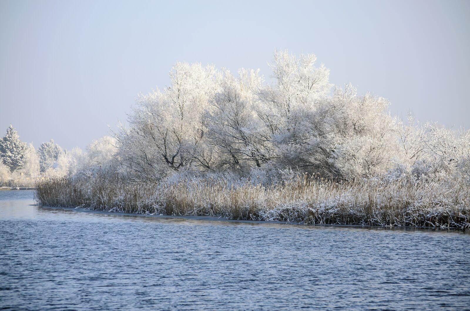 Nikon D5100 sample photo. Lake, winter, frost photography